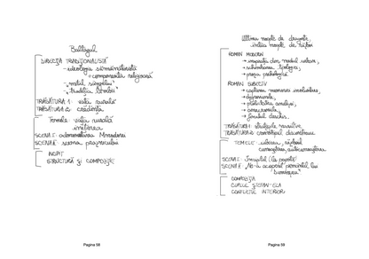 Schema opera literara - Carte Subiectul 3 Bac Romana